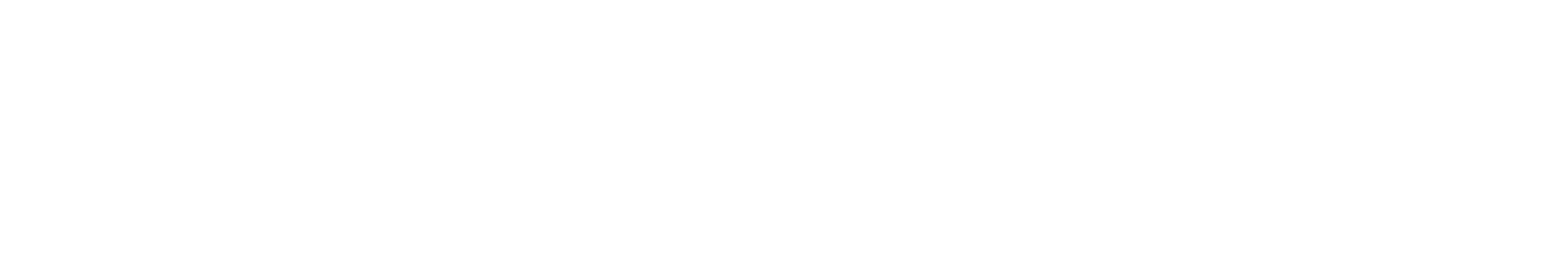 CountiQ Logo